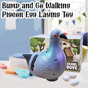 Pigeon Egg Laying Toy